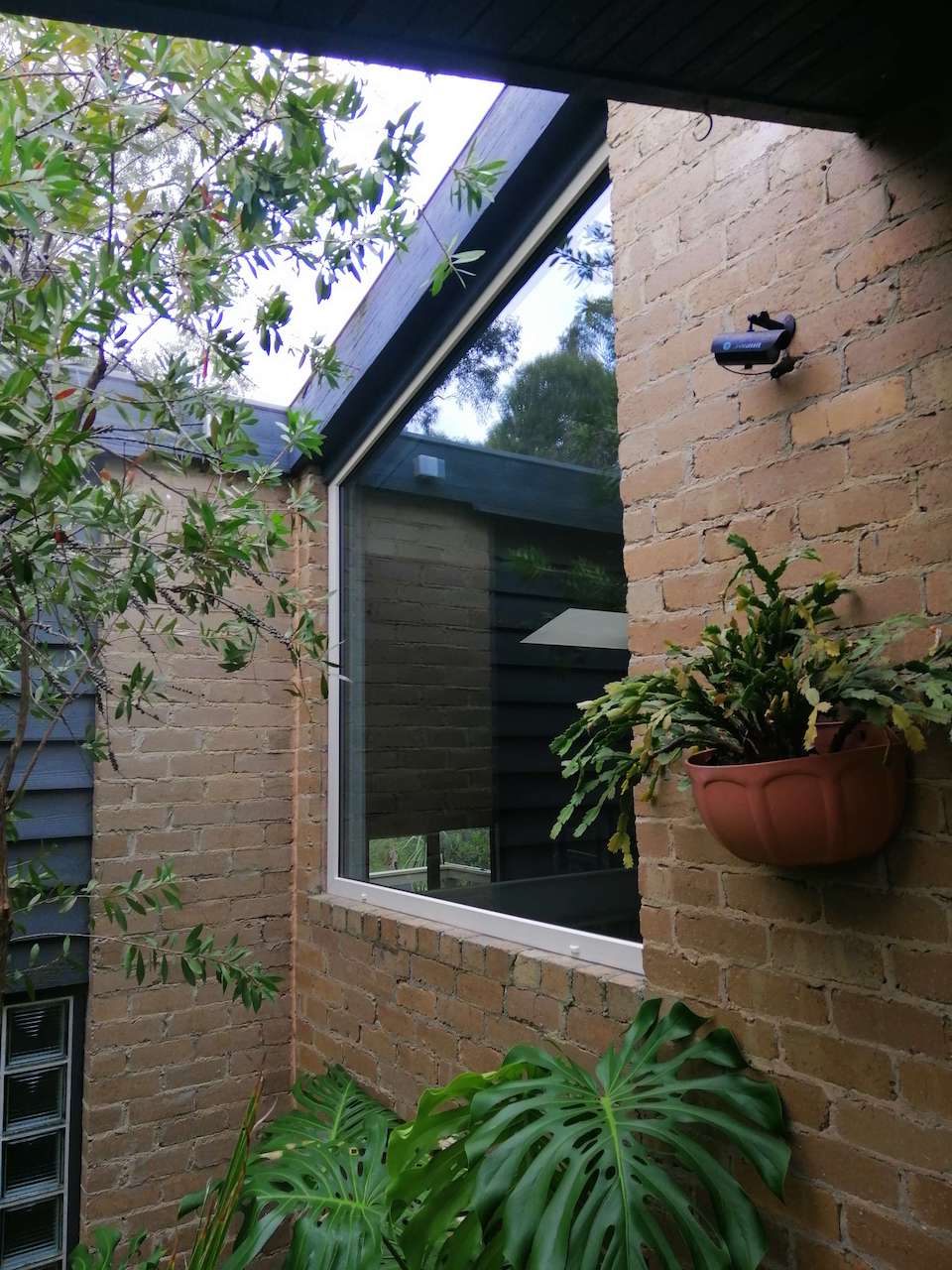 Shaped Windows with Anthracite Grey frame at APS Double Glazing